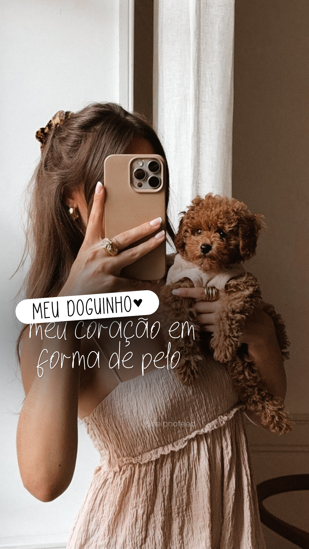 cachorro5